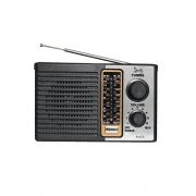 PARLANTE RADIO ICF-P10BT